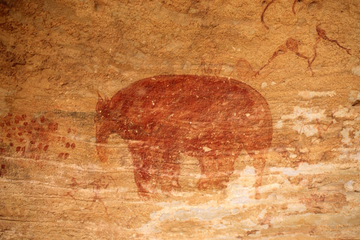 Rock painting at Tassili n'Ajjer showing hunters gathered around a large animal
