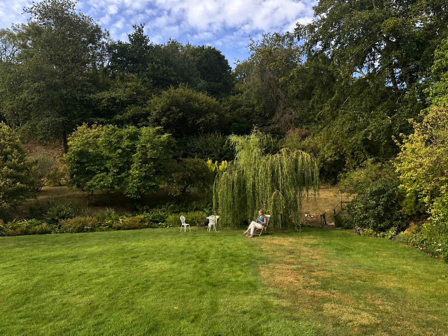 A person reading a short news briefing in a garden